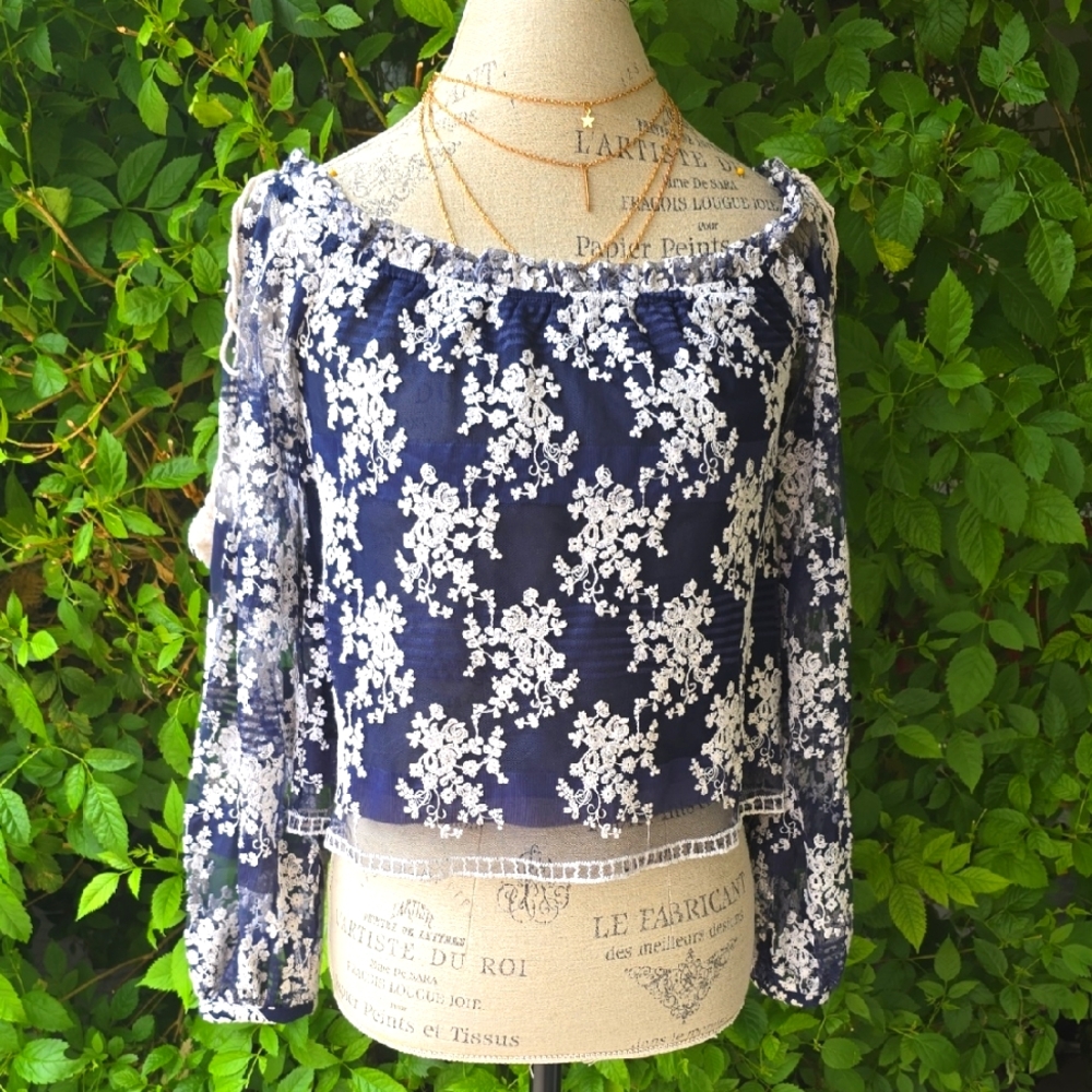 Lucy Paris Blue and White Smocked Crop Blouse
